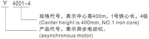 西安泰富西玛Y系列(H355-1000)高压YKK5603-2/1800KW三相异步电机型号说明